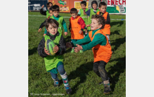Vie du CD 64 : 1/13. la commission Ecoles de rugby